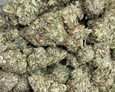 PINK MOONLIGHT (MEGA GAS) (BULK ONLY) - Image 6